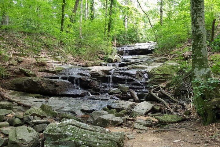 Henderson Park waterfall on the White Trail.