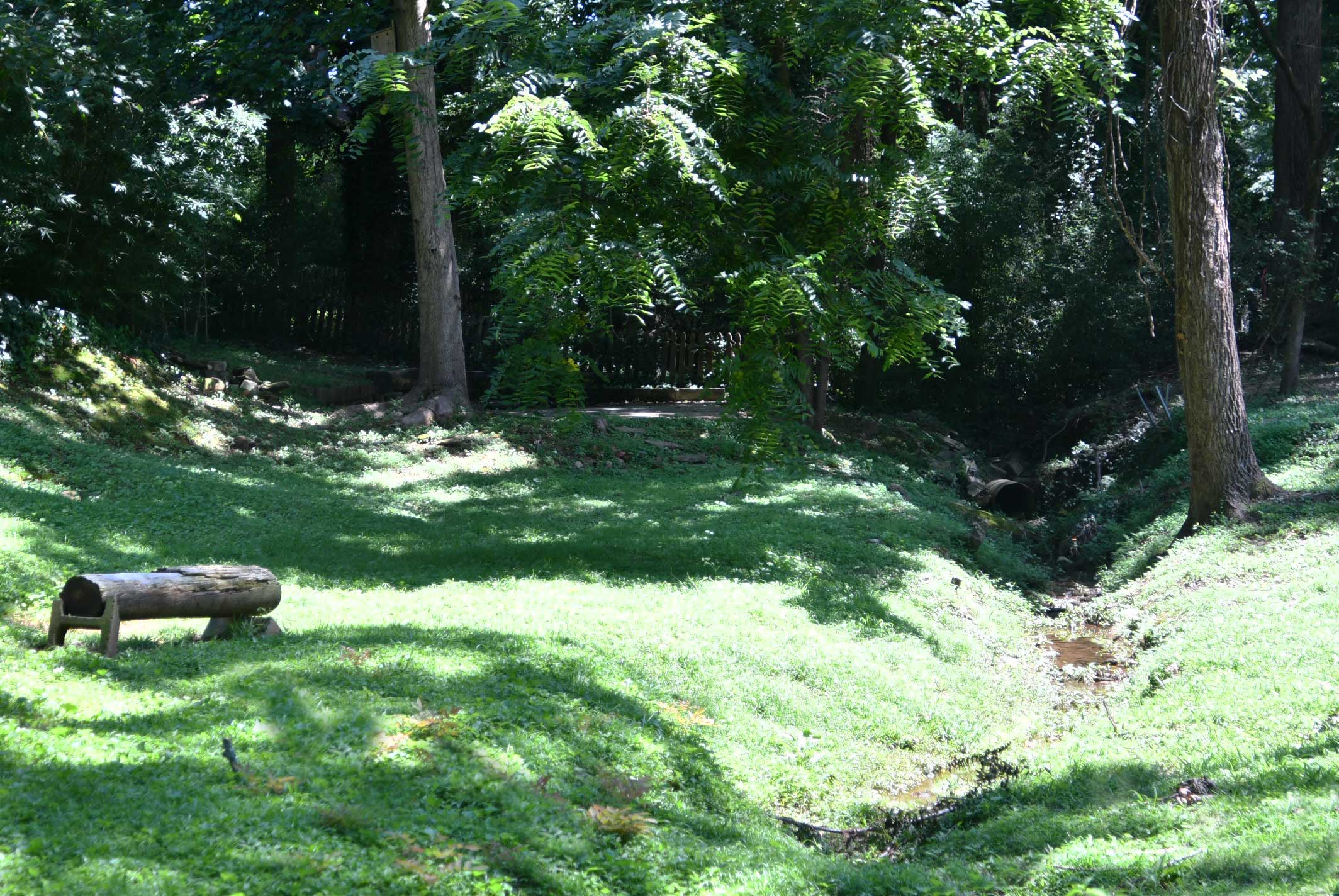 Dappled light, green grass and beuatiful trees at Westwood Nature preserve, near the bench