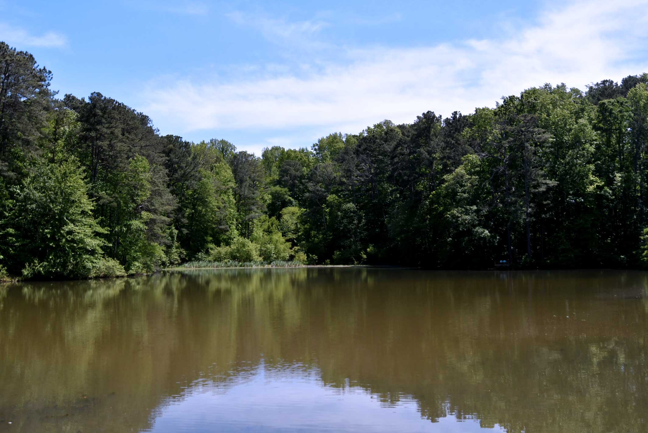 The lake and reflection amongst trees at Kelley-Cofer park