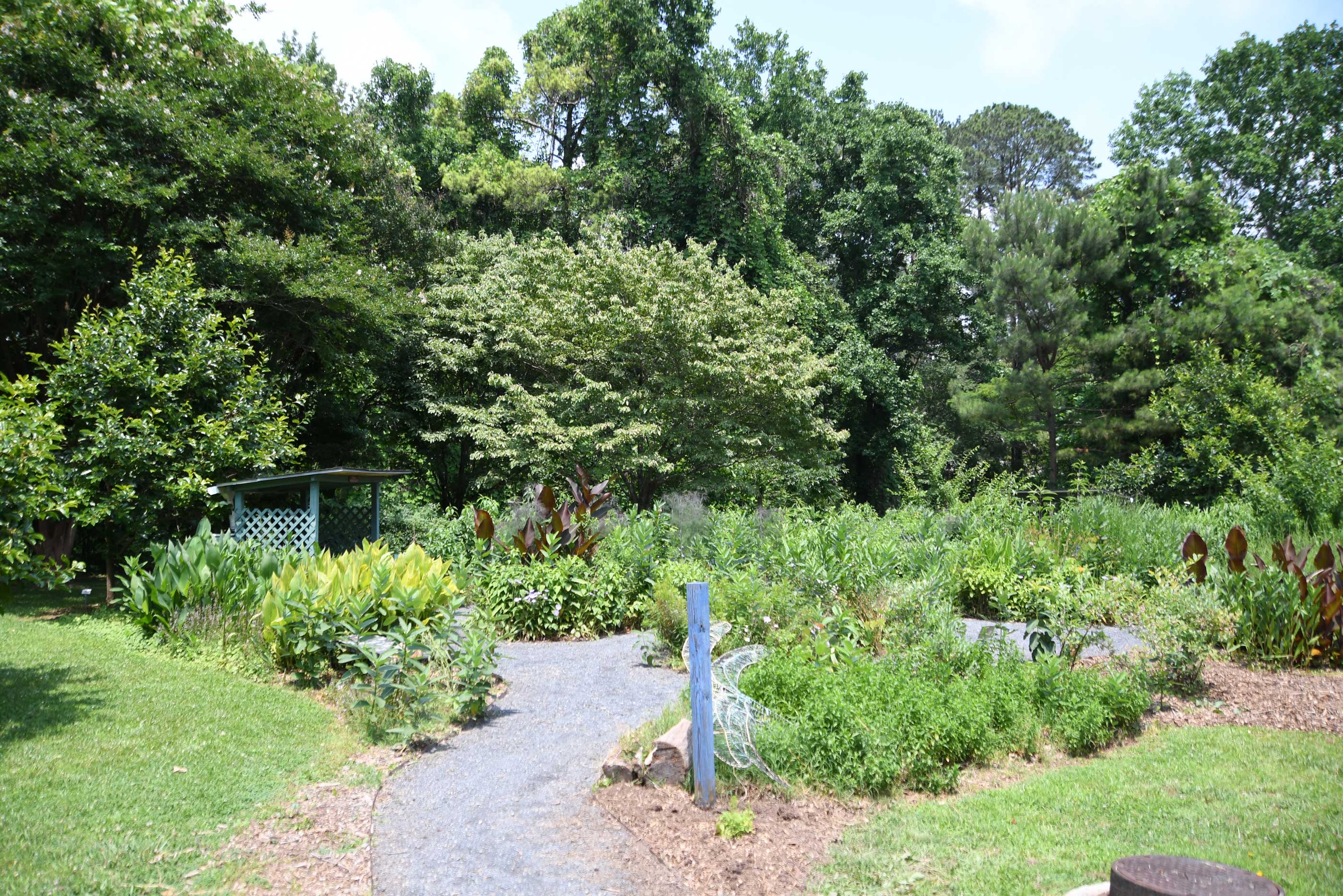 A beautiful pollinator garden at Kelley Cofer