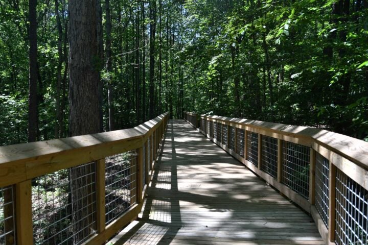 Probst Park elevated walkway through the woods.