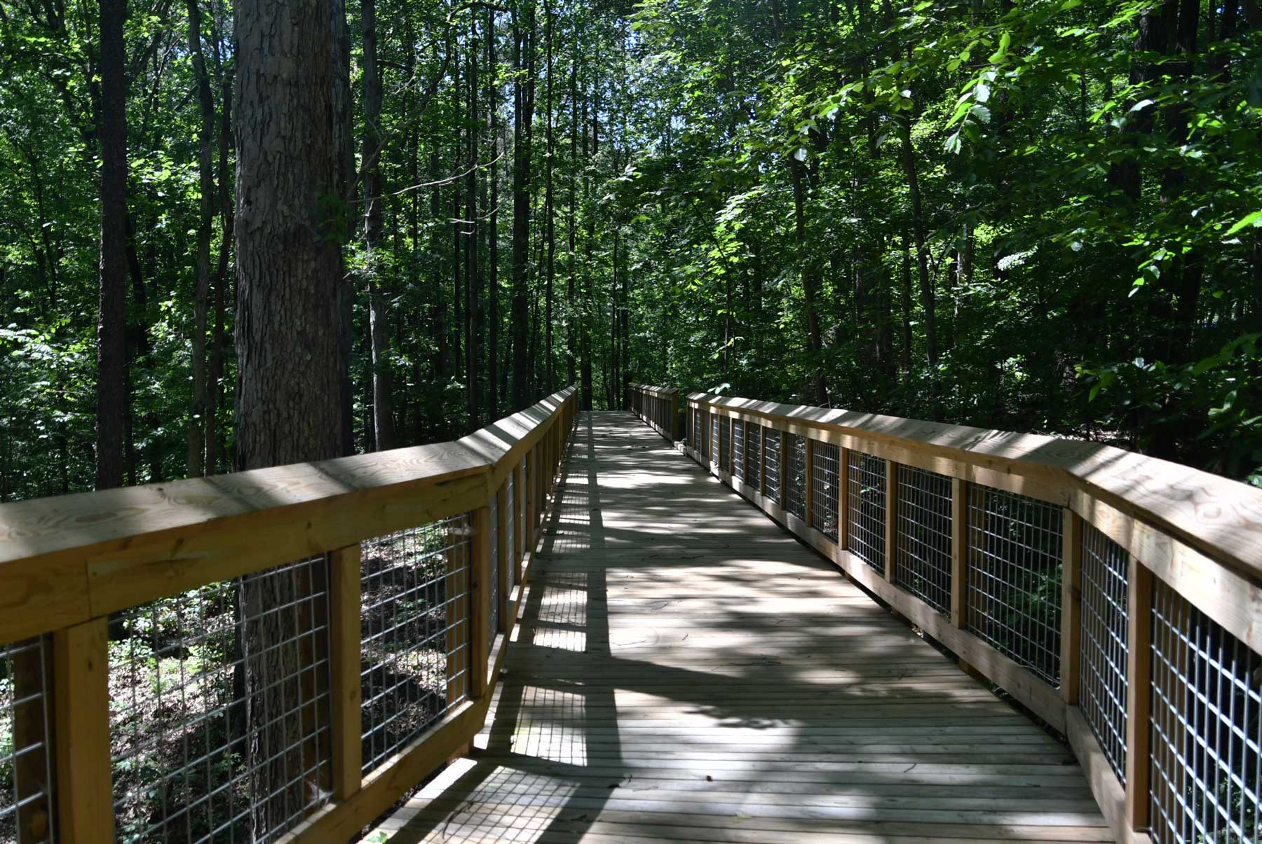 Probst Park elevated walkway through the woods.