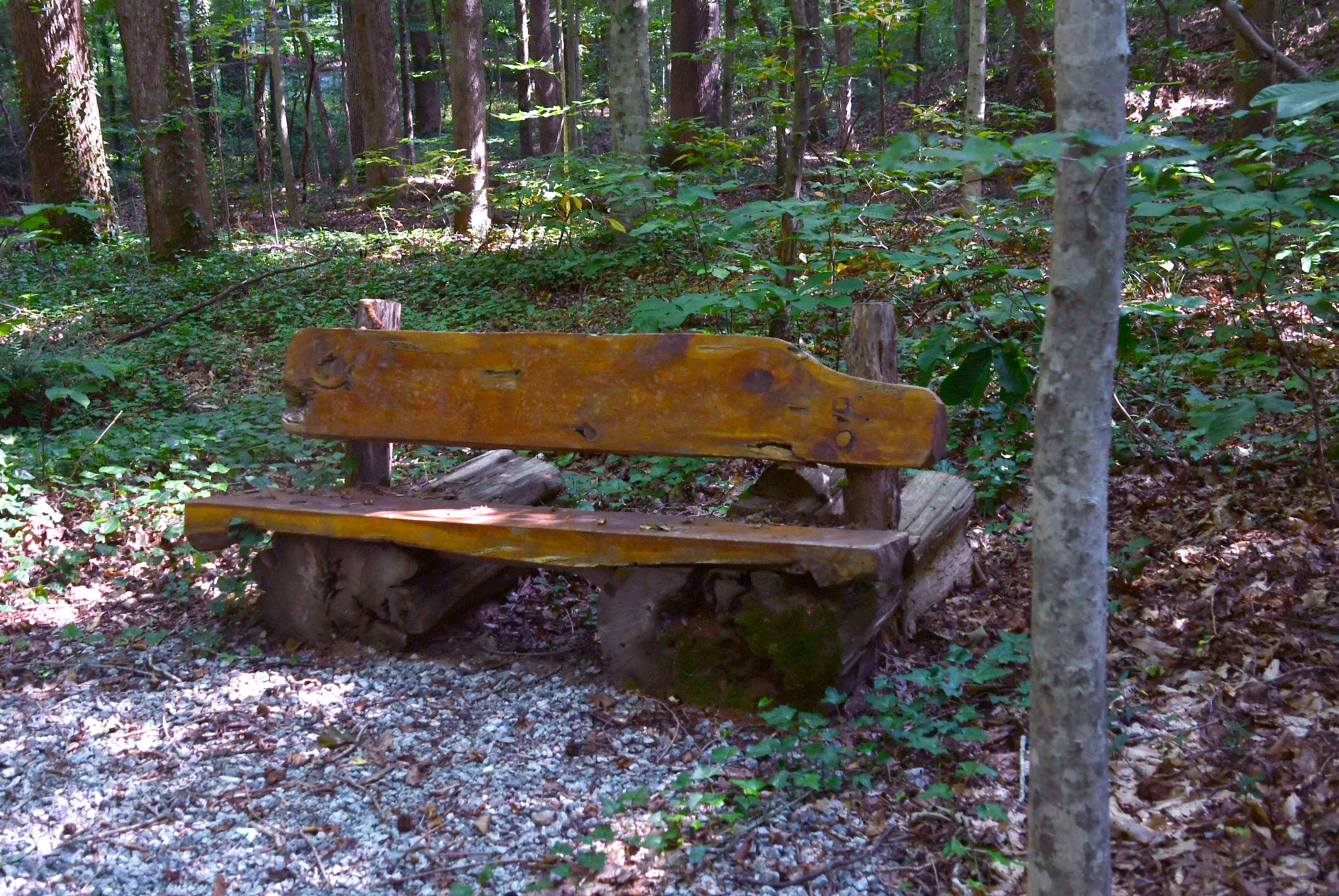 A wooden bench at Somke Rise Crossing