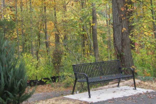 Bench at a trail head