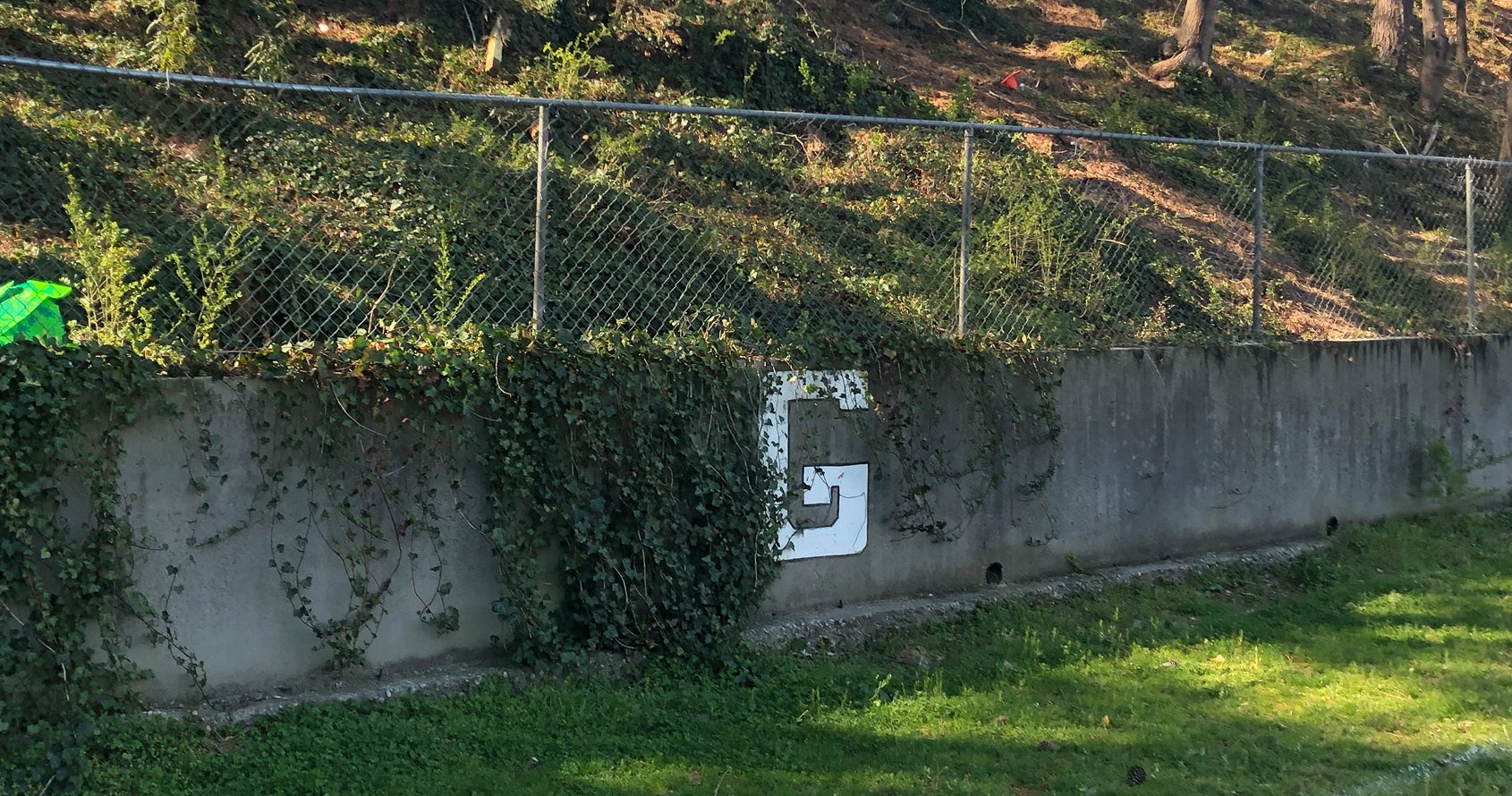 The goal line at Fitzgerald Park.