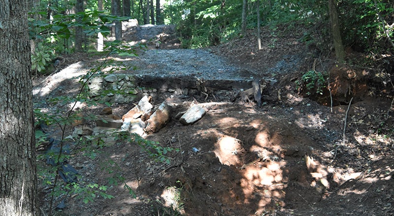 Outdoor trail in the woods