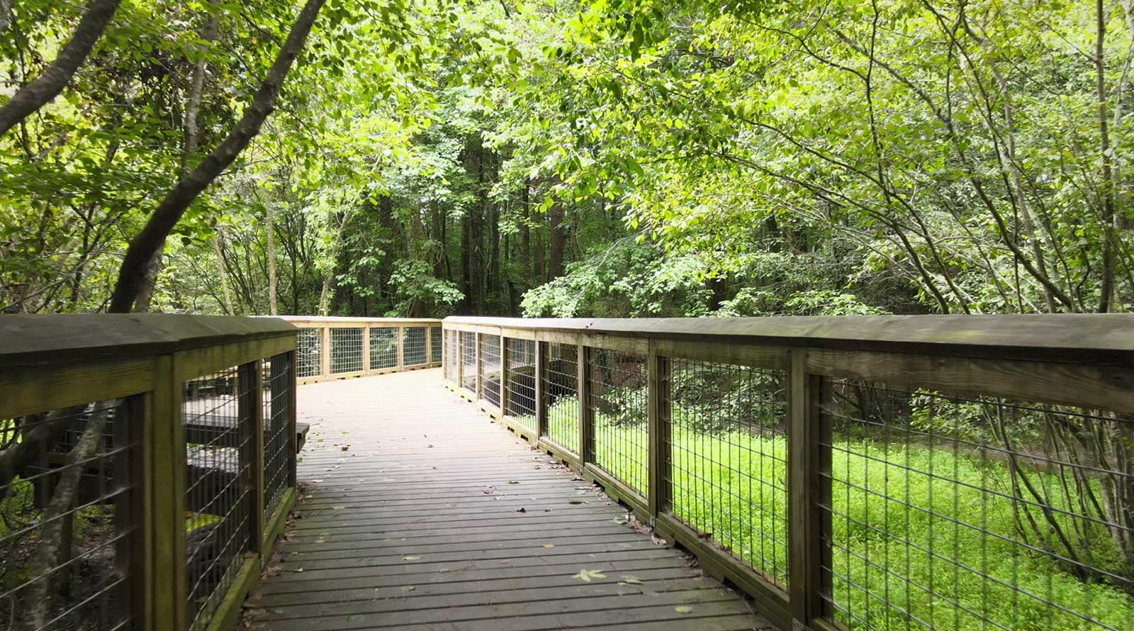 john homestead park bridge through woods