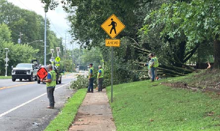 Public Works removes a fallen tree from the road.